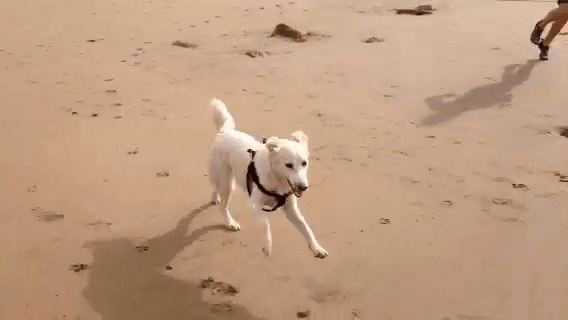 vlcsnap-2014-05-26-23h13m25s12