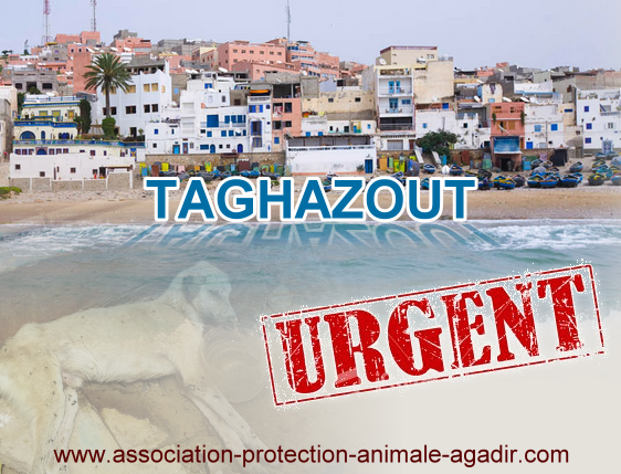 10447638_684196624968088_7994549670327315270_n