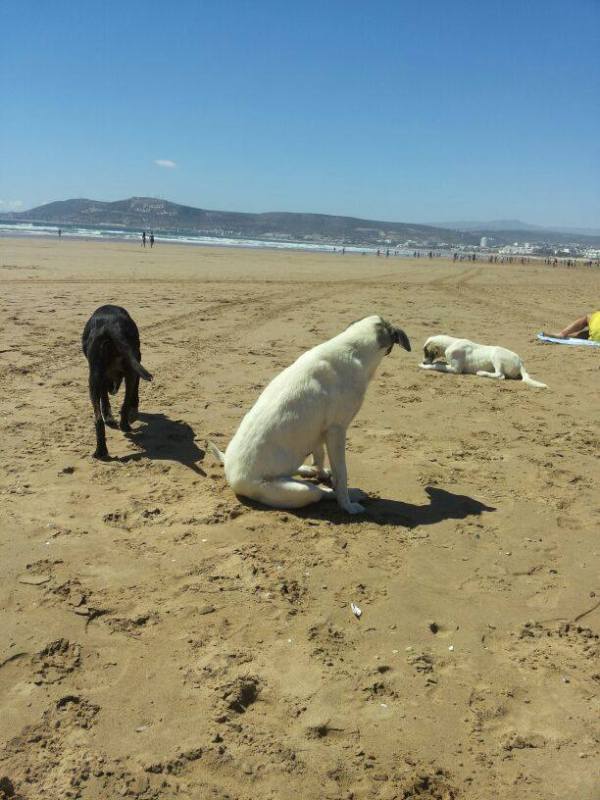 10524557_10204659285070280_2579640095236642671_n