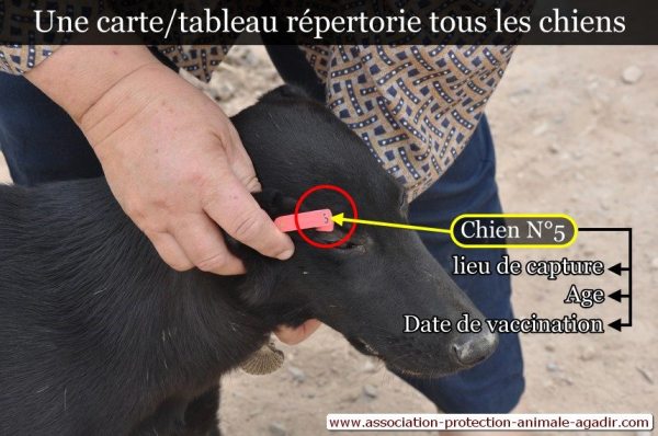 10527806_692643250790092_3611016610666810032_n