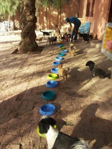 10444452_10204799899345549_7095435198545242939_n